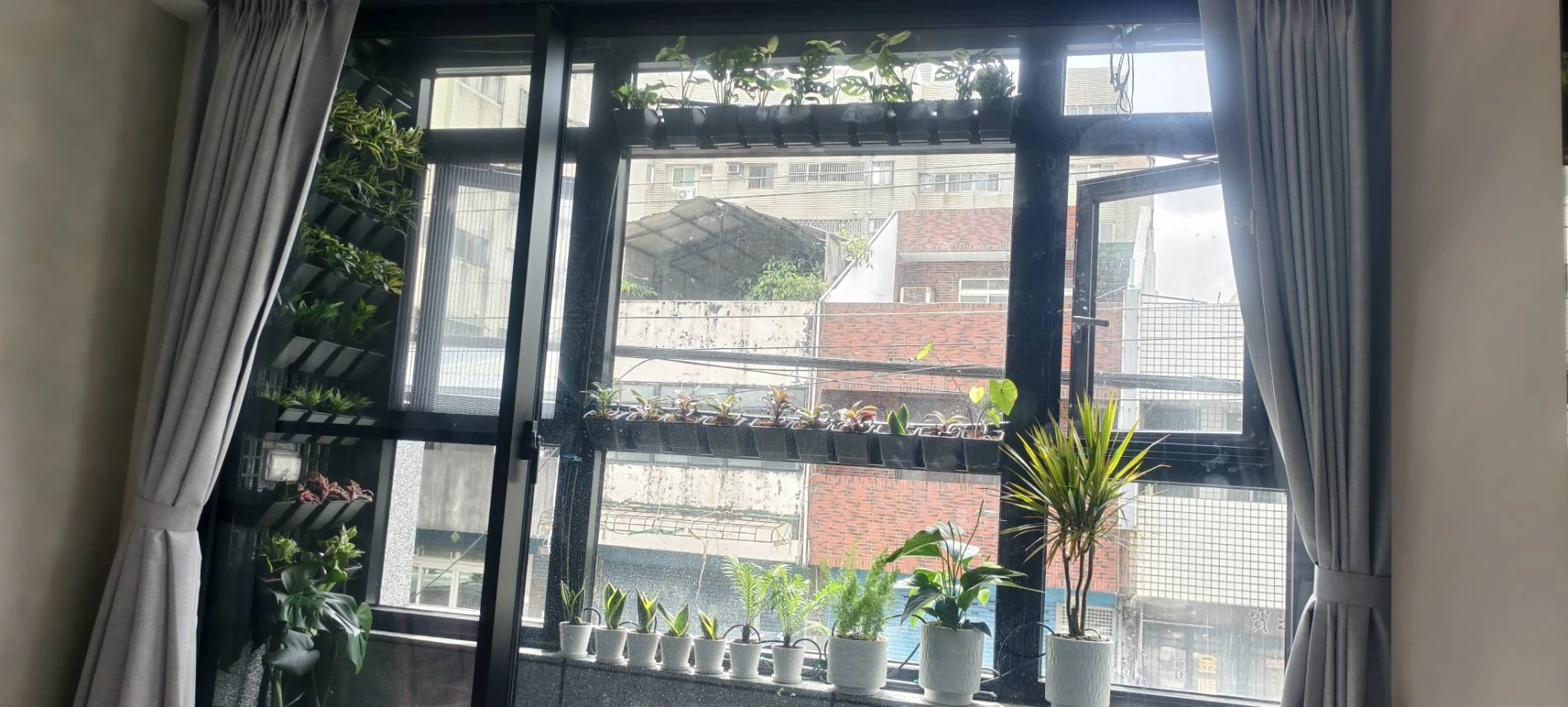 陽台植牆造景.自動噴灌滴灌