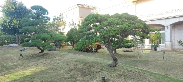 私人豪宅無毒蚯蚓防治抓除