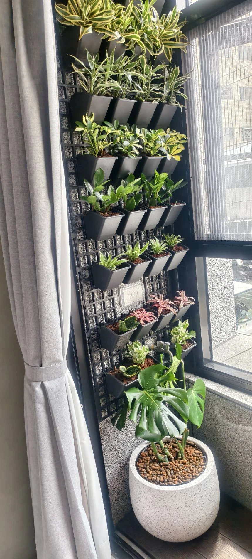 陽台植牆造景.自動噴灌滴灌