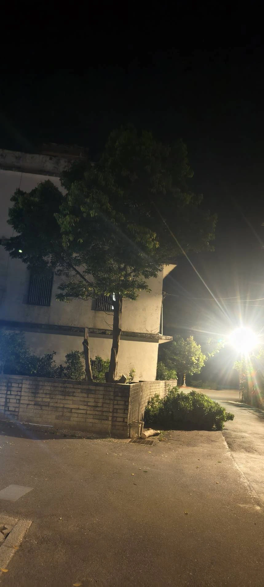颱風天前，夜間準備防颱，鋸樹
