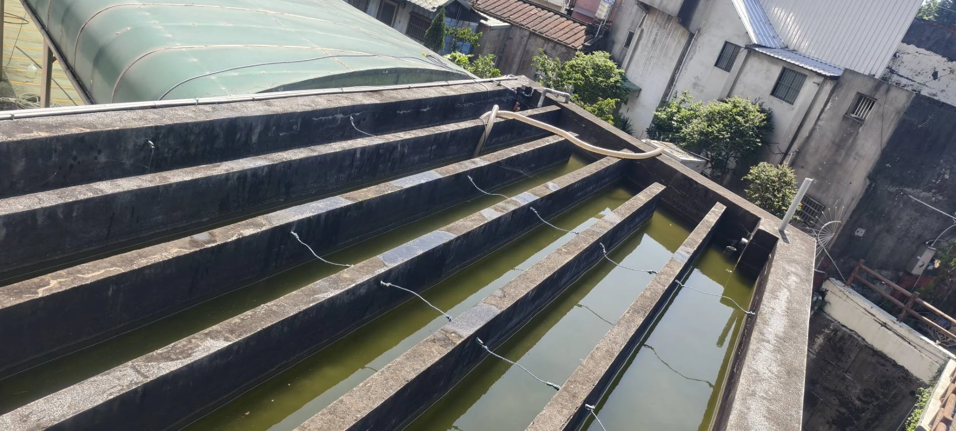 科技廠，風水池，魚池，過濾槽清洗服務