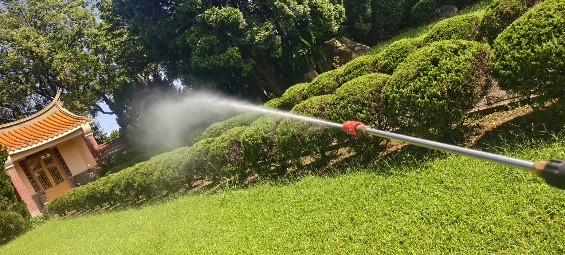 病蟲害防治.雜草防治