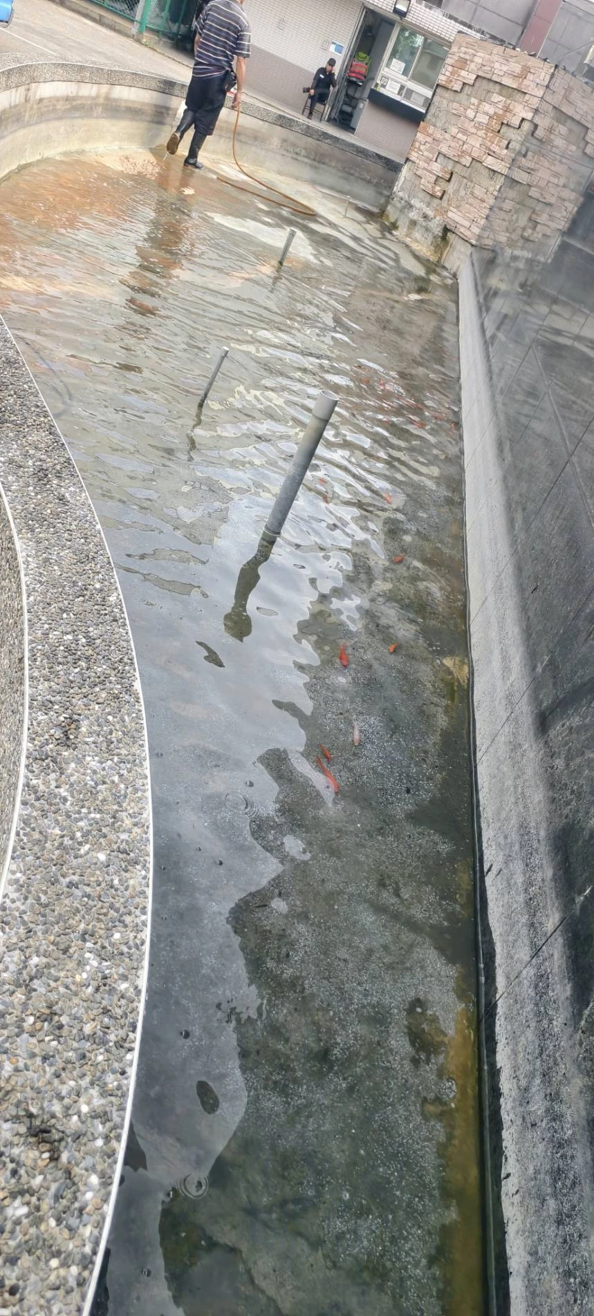科技廠，風水池，魚池，過濾槽清洗服務