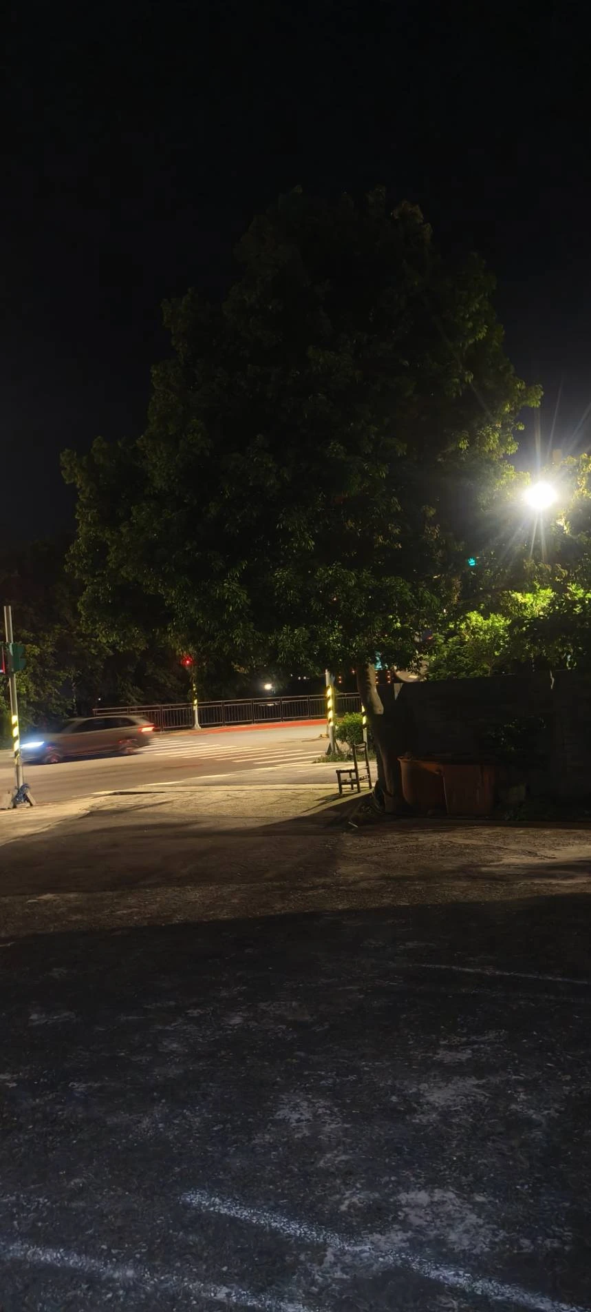 颱風天前，夜間準備防颱，鋸樹