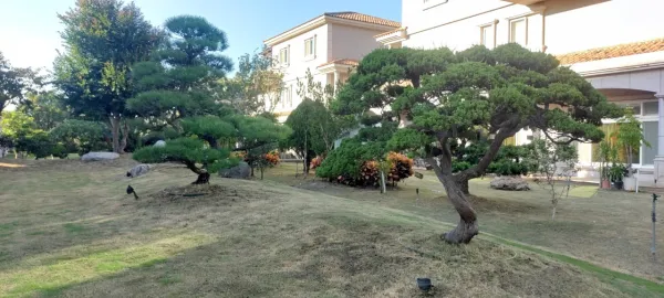 私人豪宅無毒蚯蚓防治抓除