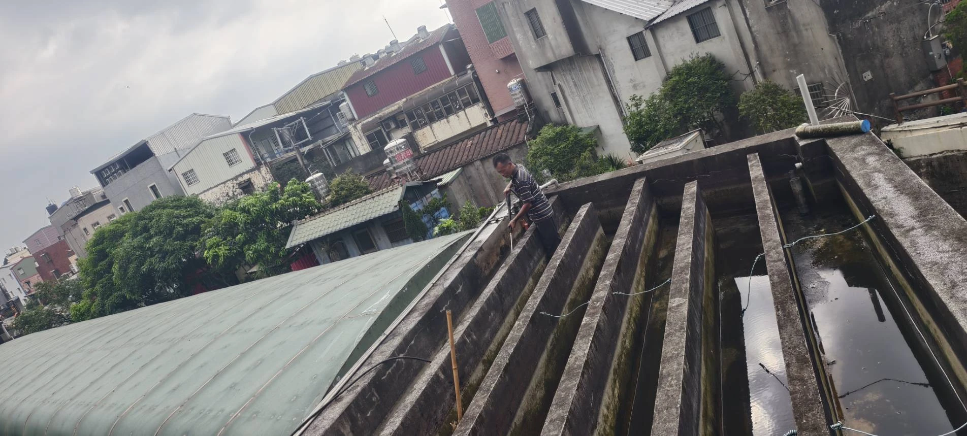 科技廠，風水池，魚池，過濾槽清洗服務