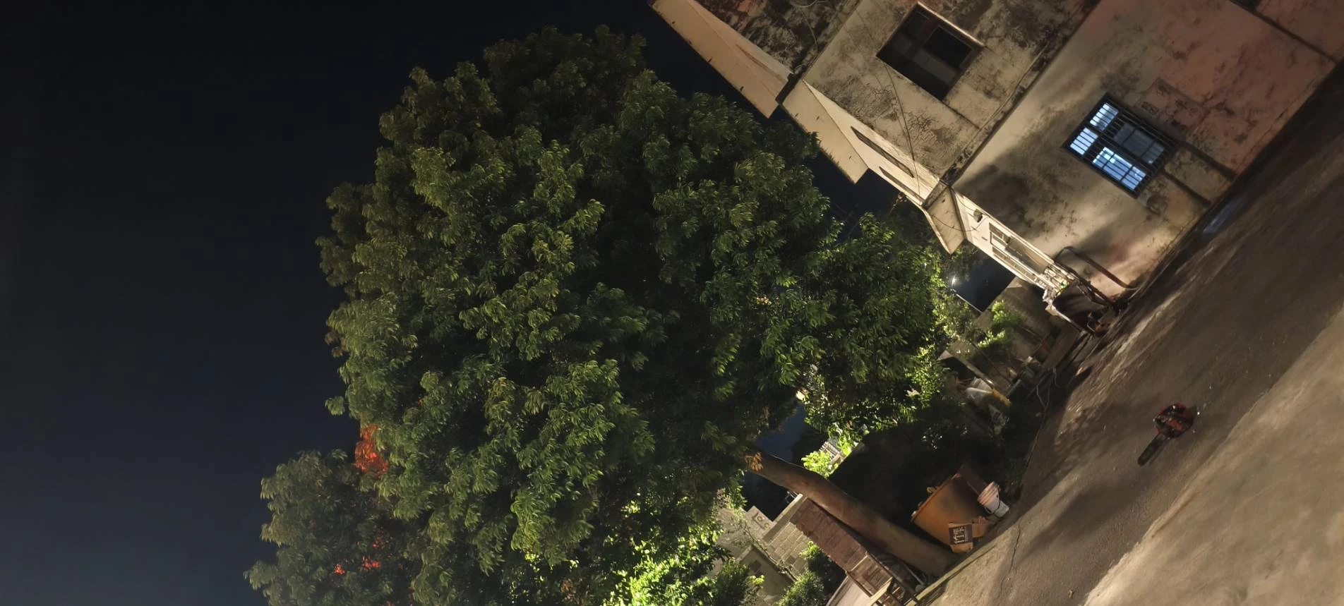 颱風天前，夜間準備防颱，鋸樹