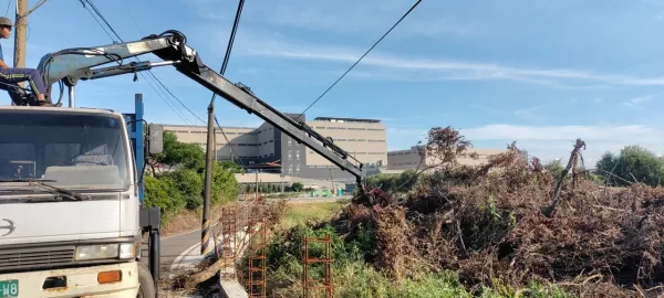 新建廠區周邊樹木矮化，雜草割除，樹枝葉清運