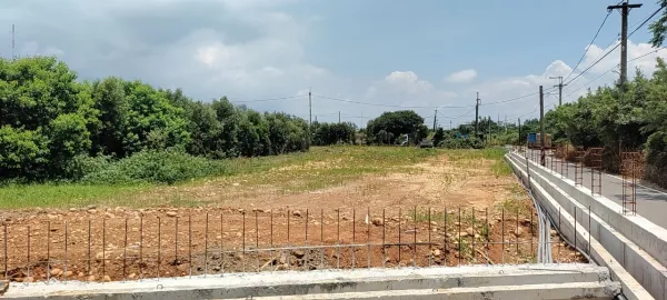 新建廠區周邊樹木矮化，雜草割除，樹枝葉清運