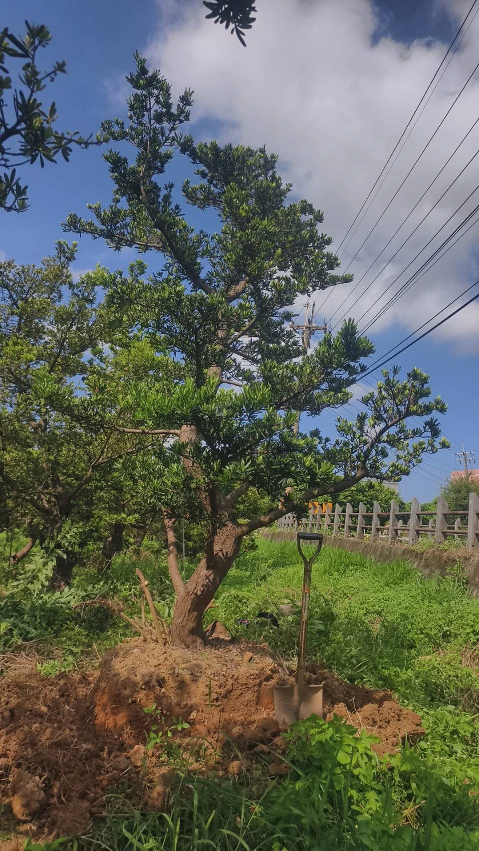 土地公廟造景