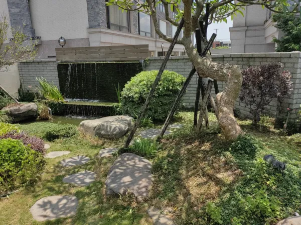 公司招待所景觀維護，公司公園樹木栽種景觀維護