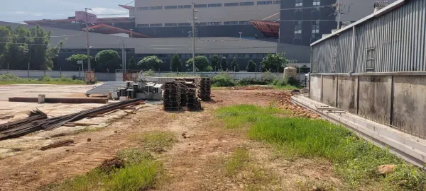 新建廠區周邊樹木矮化，雜草割除，樹枝葉清運