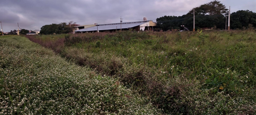 投資農地代為管理，割草代耕