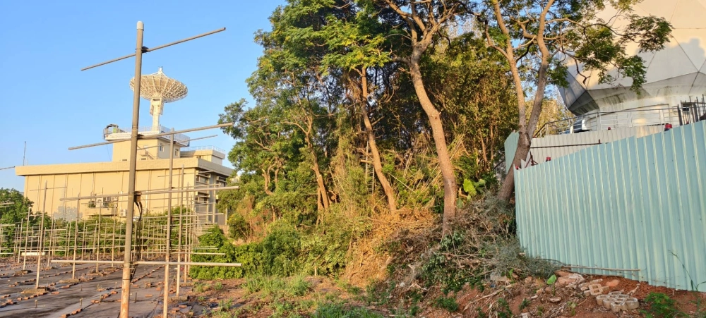 高難度，危險樹木緊急施工鋸除