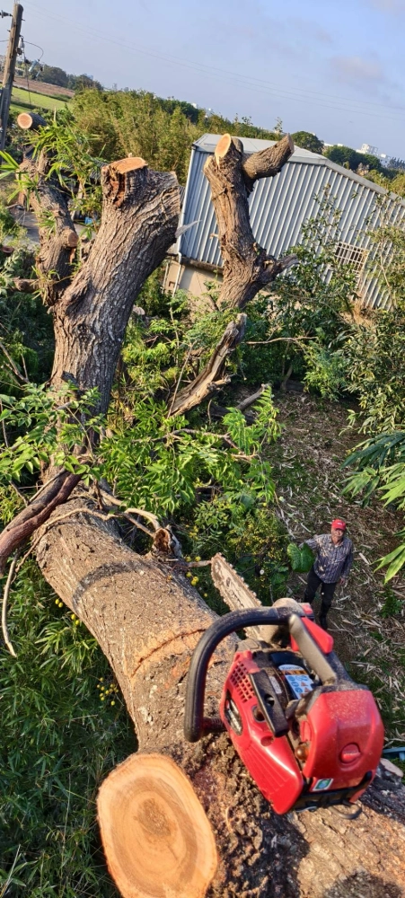 樹木修鋸，雜木鋸除