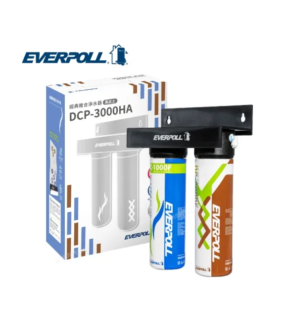 《EVERPOLL愛科濾淨》DCP-3000HA 經典複合淨水器-黑武士全效淨水組