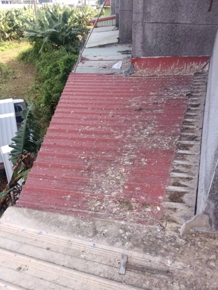 屏東運輸與土地回填