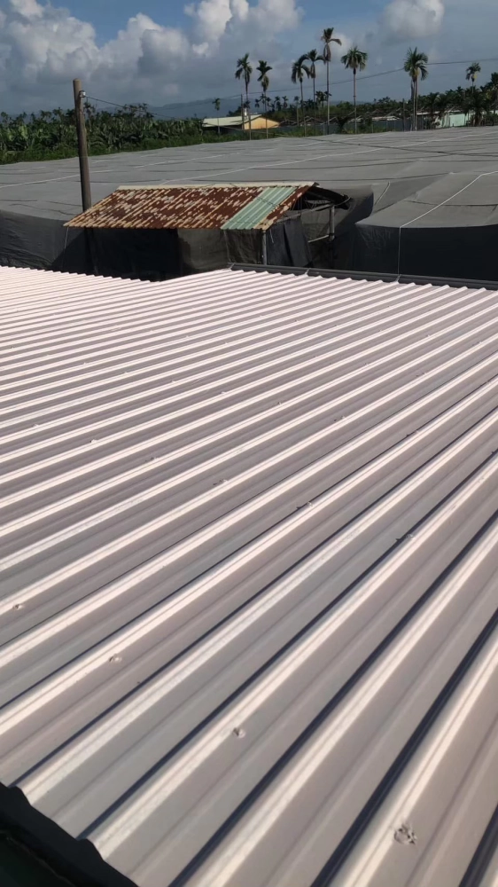 高雄運輸工程與土地回填