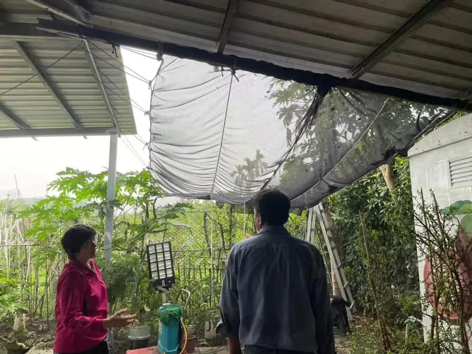 高雄運輸工程與土地回填