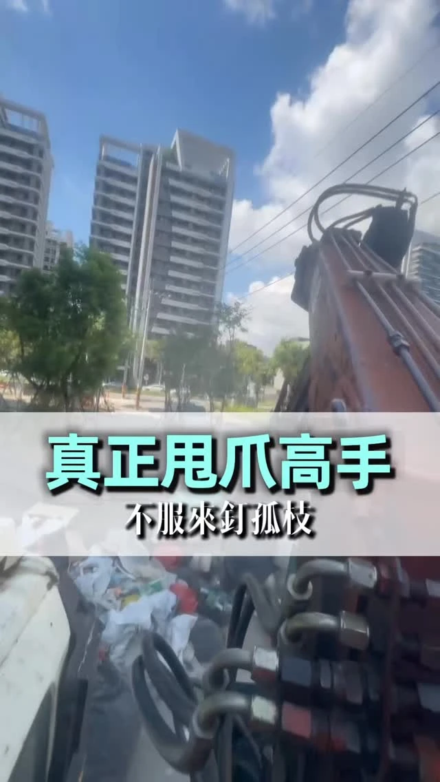 這根本就是大型夾娃娃機在努力甩爪 只差在……