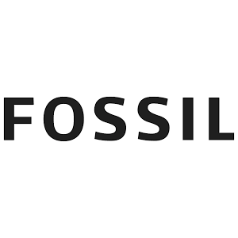 化石 Fossil