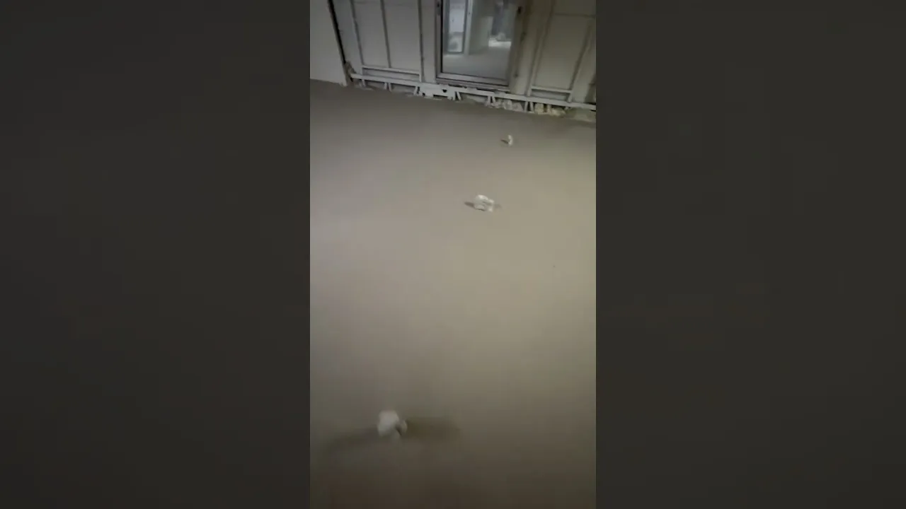 石膏自流平工程