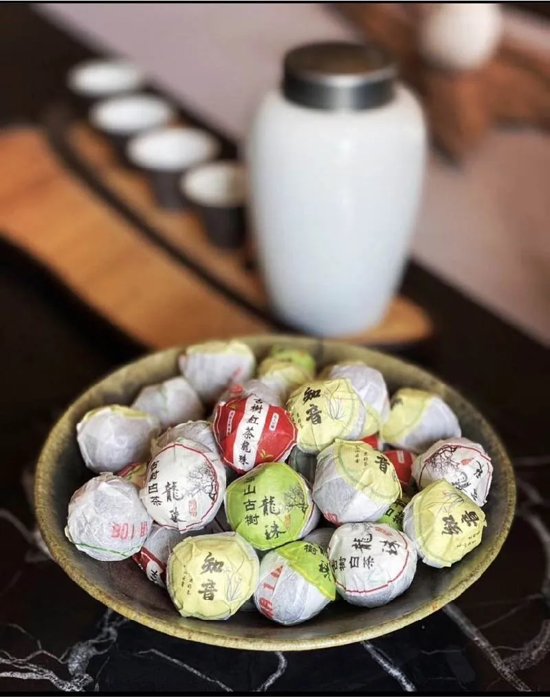 古樹龍珠