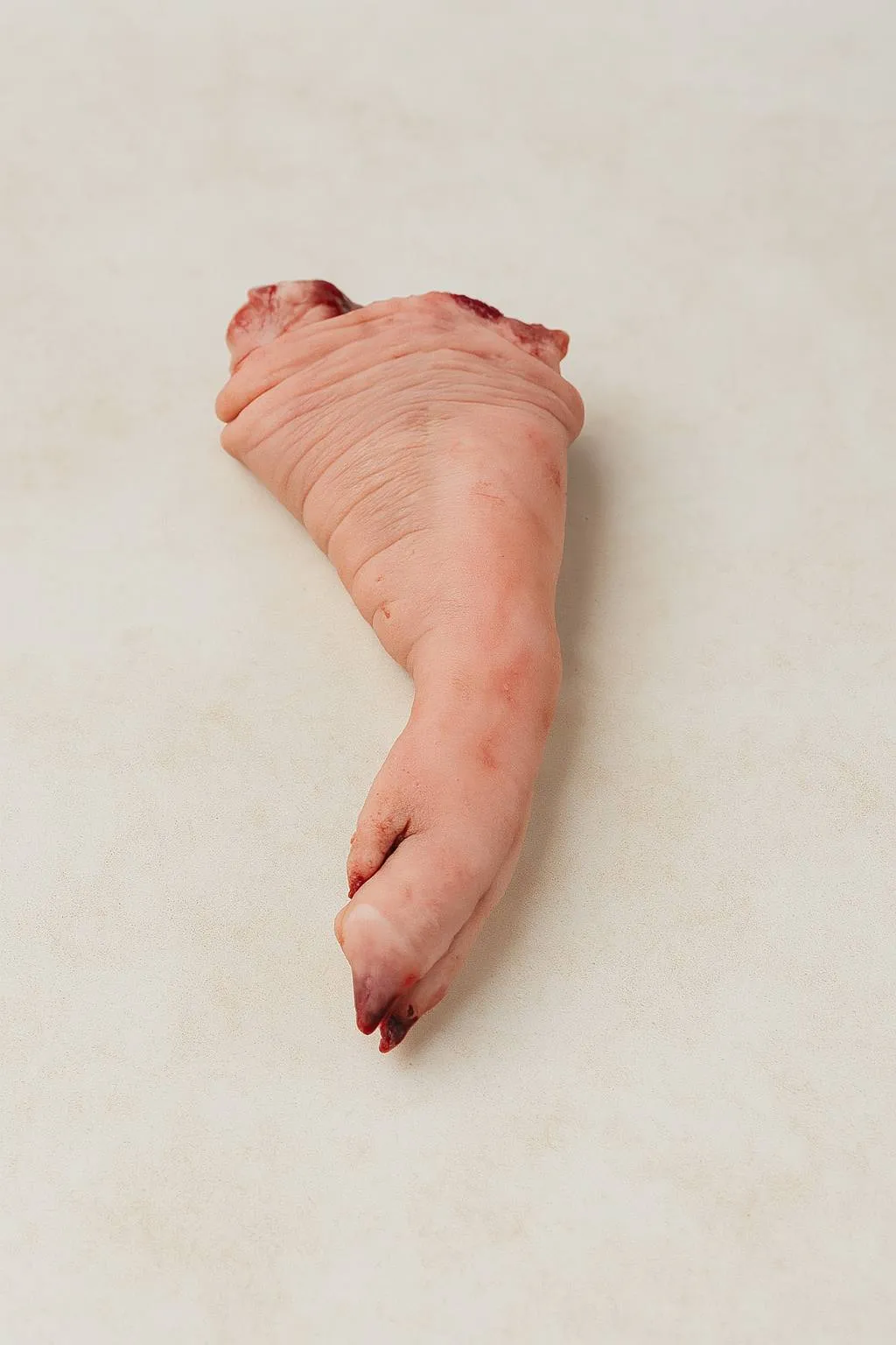 前腳