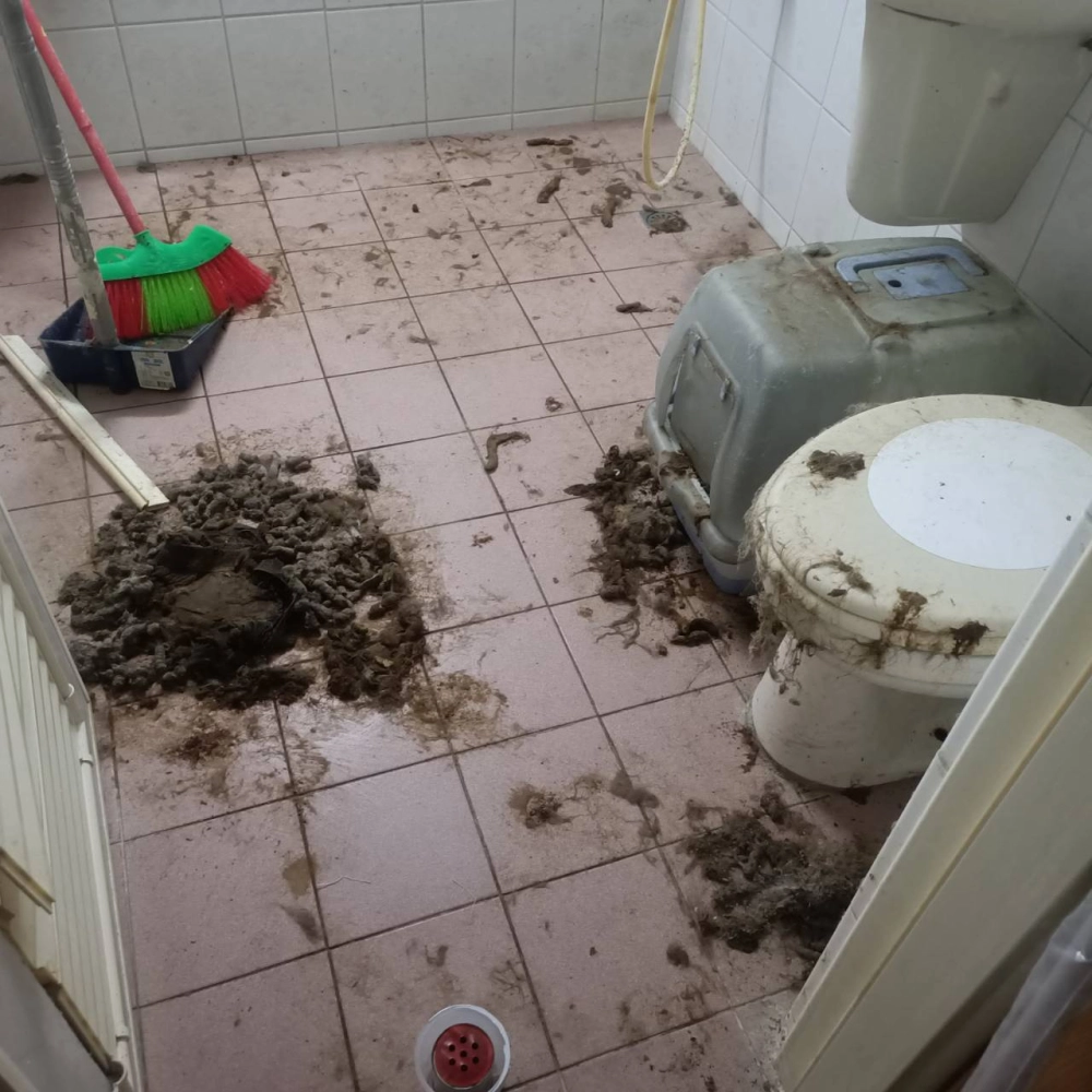 搬家清潔／退租清潔