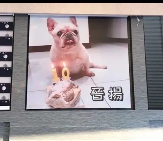 捲簾、百葉窗、蜂巢簾