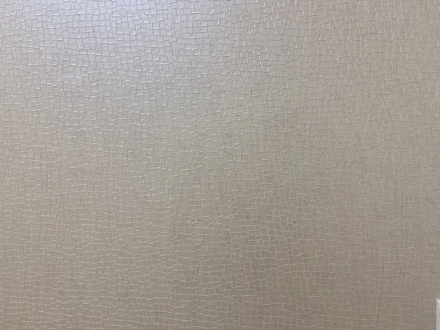 壁紙