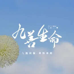 禮儀紀錄
