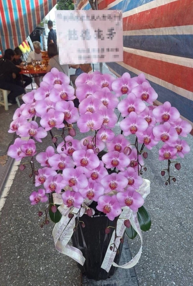 蘭花禮盆