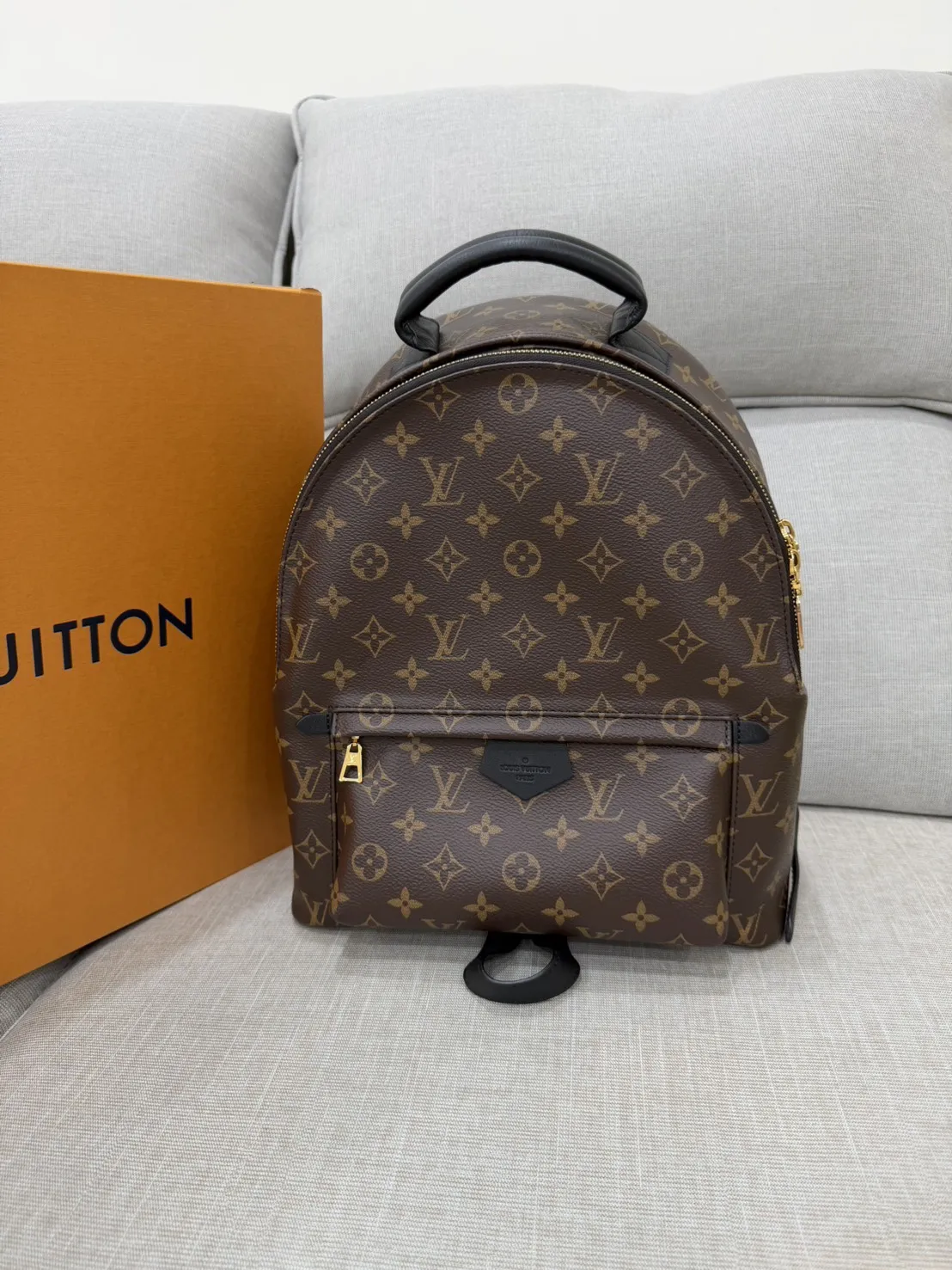 LV M44874 Palm Springs MM Monogram老花牛皮帆布後背包