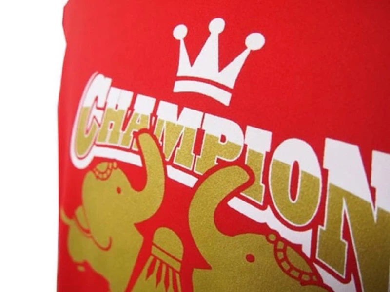 優乃克YONEX 大象可愛版 2018年優霸杯2018紀念冠軍T恤（現貨限量供應