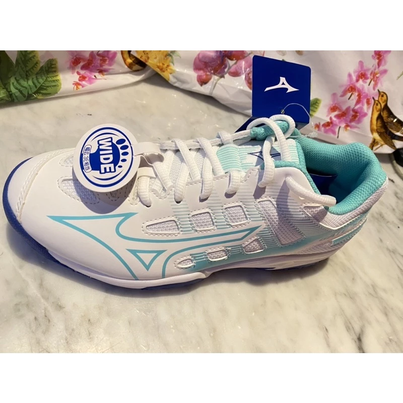 GATE SKY PLUS 2 寬楦男女款羽球鞋 71GA224025【美津濃MIZUNO