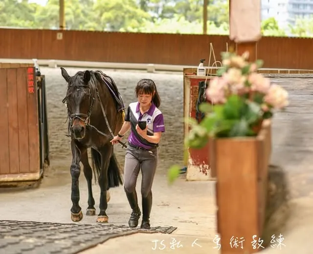 ⚠️錯誤示範：教練，牽馬不可以看手機喔｜馬術教練推薦｜馬術課程推薦