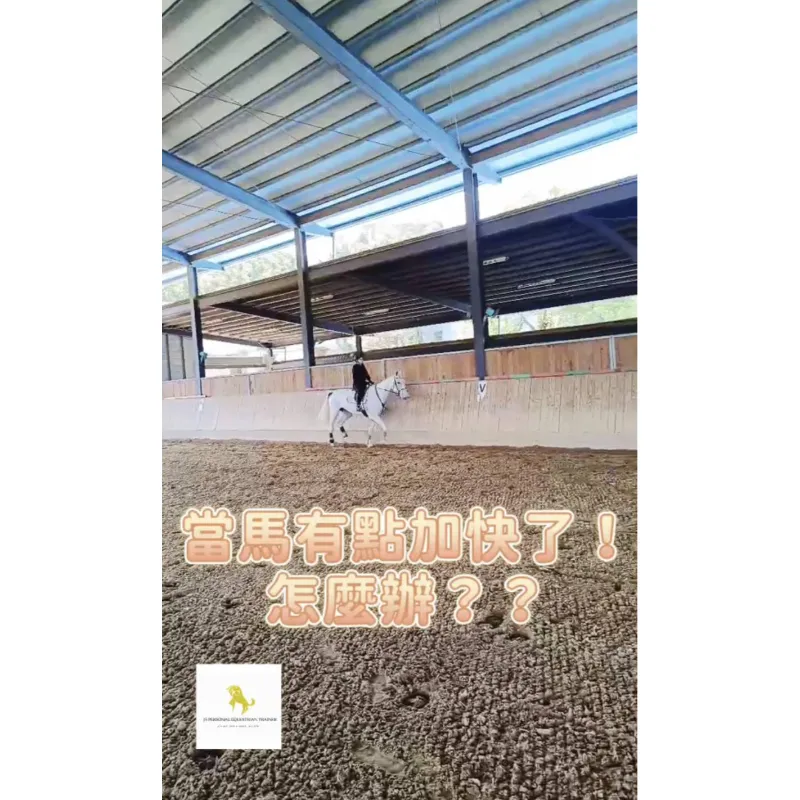 騎乘中當馬匹有點加快了怎麼辦？！學騎馬｜馬術課程｜馬術教學｜騎馬體驗