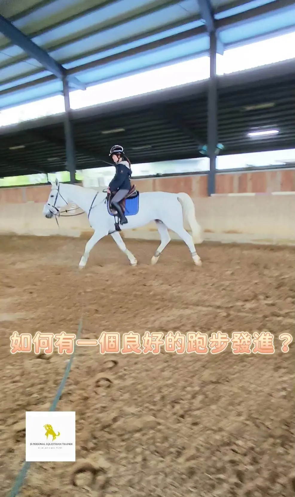 如何有一個良好的跑步發進？馬術課程｜學騎馬｜馬術教練推薦｜馬術體驗｜馬匹租賃