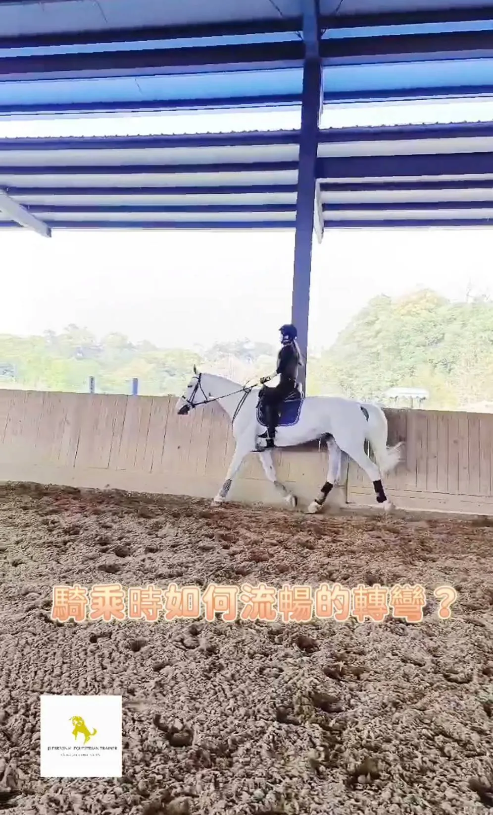 騎乘時如何順暢的轉彎？馬術課程｜馬術體驗｜學騎馬｜馬匹租賃｜馬術教練推薦