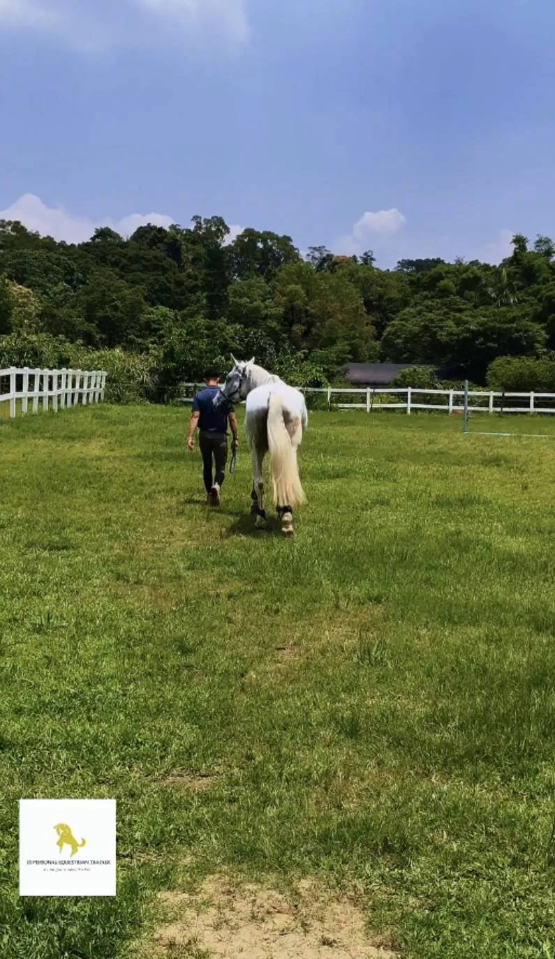 期待我們的教學傳遞這樣的理念：