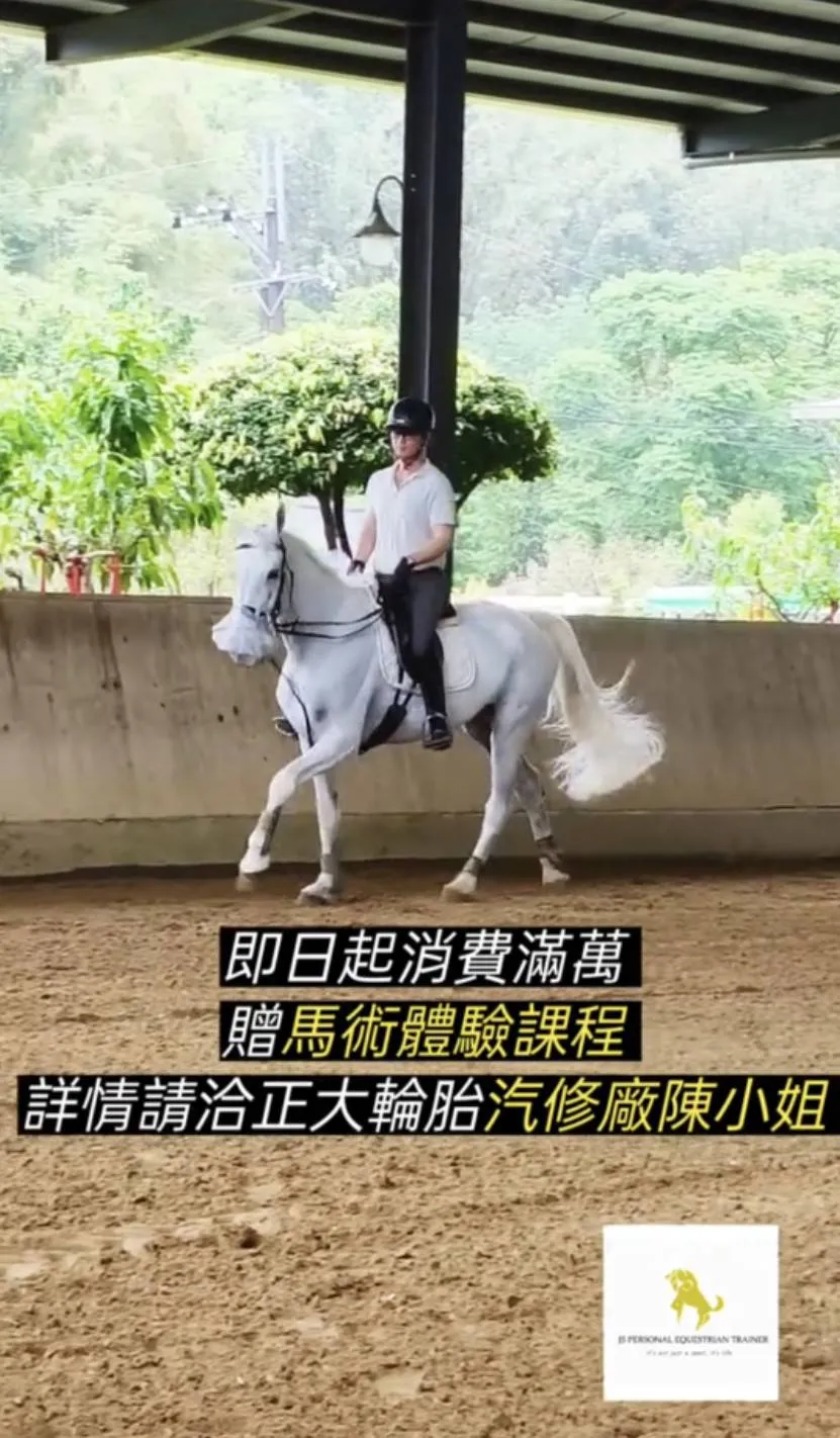 獨家異業合作優惠｜學騎馬費用｜台北騎馬費用｜馬術課程｜台北騎馬課程