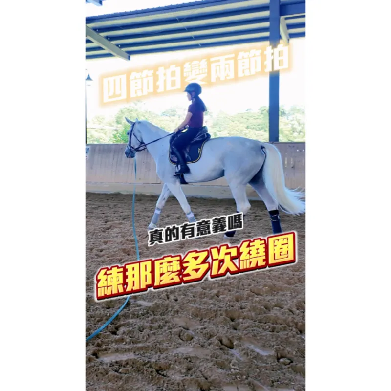 如何以安全為前提體驗馬術運動？學騎馬｜台北馬術課程｜騎馬體驗｜台北學騎馬價格｜馬術體驗