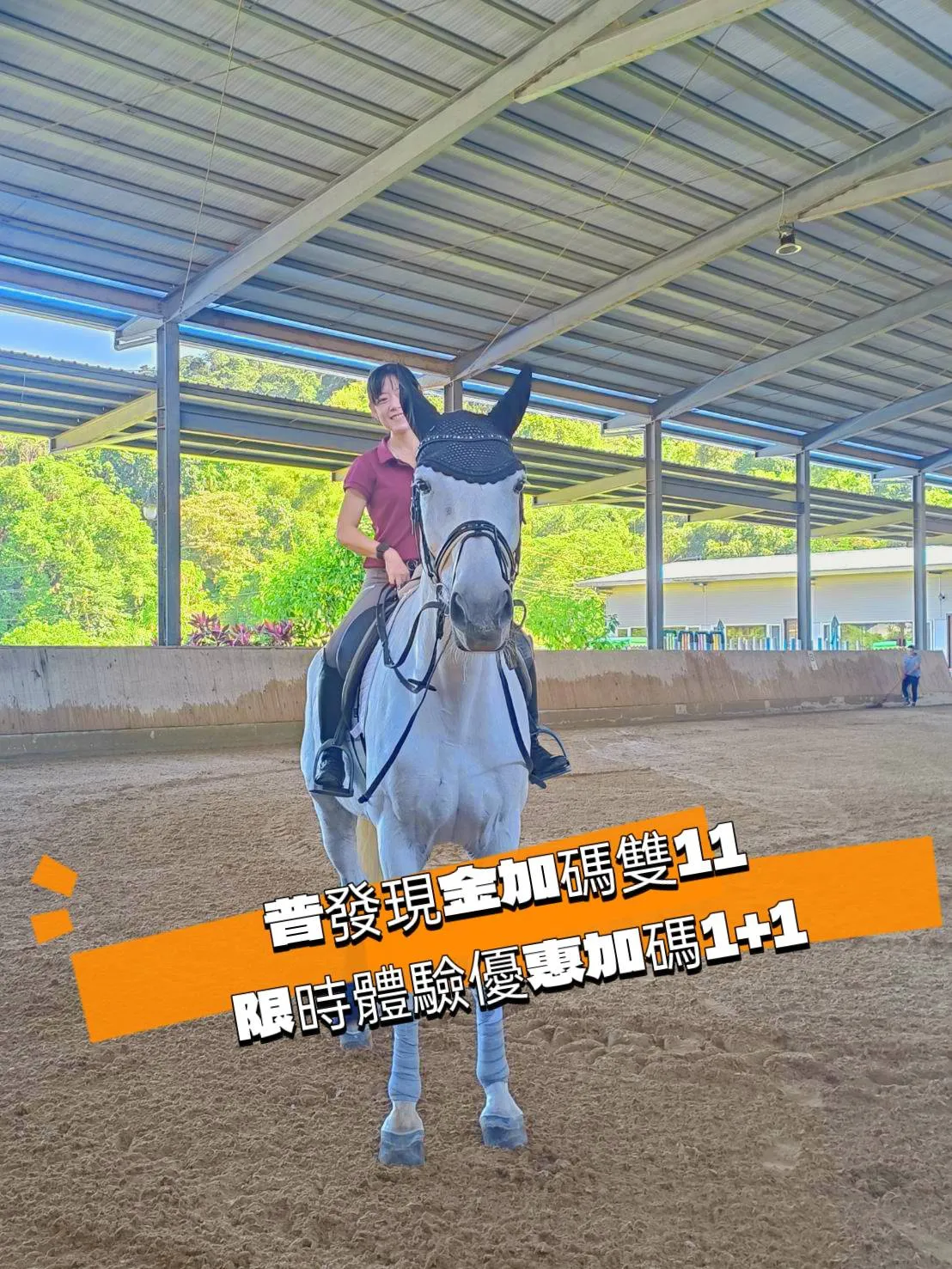 普發現金加碼雙11，限時體驗優惠加碼1+1｜騎馬體驗｜學騎馬費用｜台北學騎馬｜台北馬術課程｜台北馬場｜馬術課程