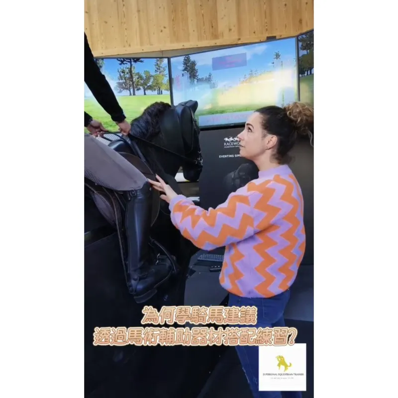 為何學騎馬建議透過馬術輔助器材搭配練習？台北學騎馬｜台北騎馬體驗｜台北馬場｜馬術課程｜台北學騎馬費用