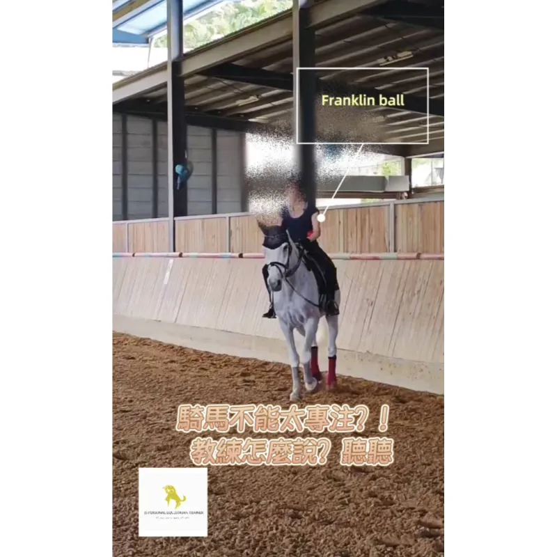 騎馬不能太“專注”？！聽聽教練怎麼說？騎馬體驗｜台北學騎馬｜馬術課程｜台北學騎馬費用｜台北馬場｜學騎馬