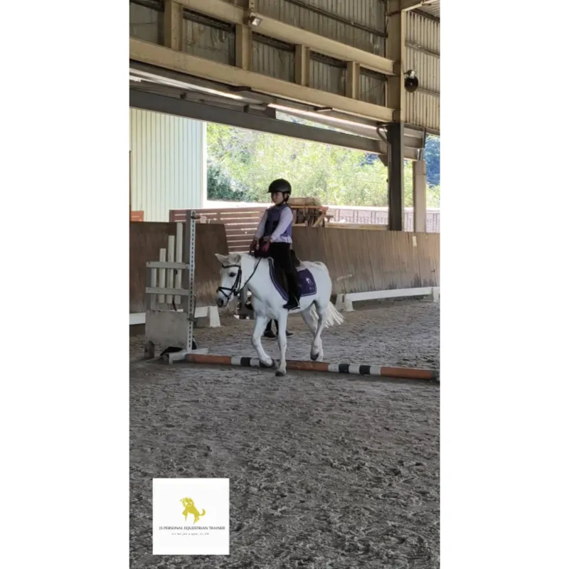 小朋友在練習障礙超越路線當中最需要注意的重點是什麼？台北馬術課程｜騎馬體驗｜學騎馬費用｜台北馬場｜台北學騎馬