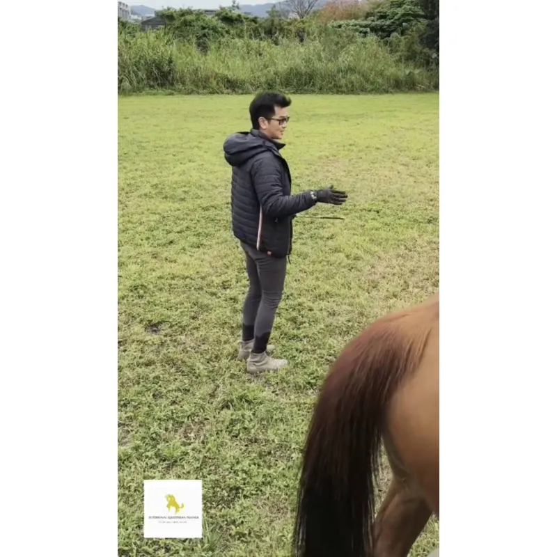 為何在馬背上一定要保持“穩定”？ 台北馬術課程｜騎馬體驗｜台北學騎馬｜台北馬場｜學騎馬費用