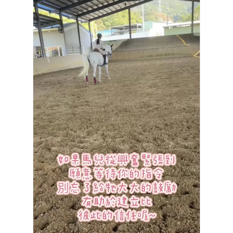 騎乘時若馬匹興奮或緊張時怎麼辦？台北學騎馬｜騎馬體驗｜台北馬術課程｜馬術課程｜台北學騎馬費用｜台北馬場