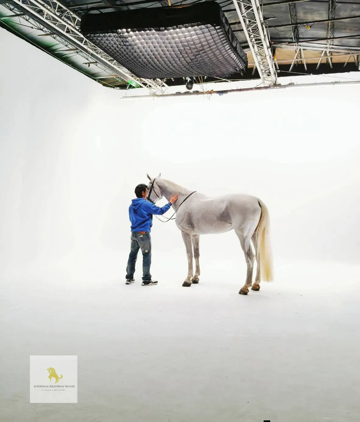 學習馬術運動前的重要觀念？台北學騎馬｜騎馬體驗｜馬術課程｜台北馬術課程｜台北馬場｜學騎馬費用